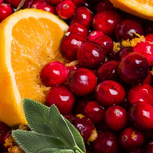 Cranberry Sage Classic Wax Melts 2.5oz