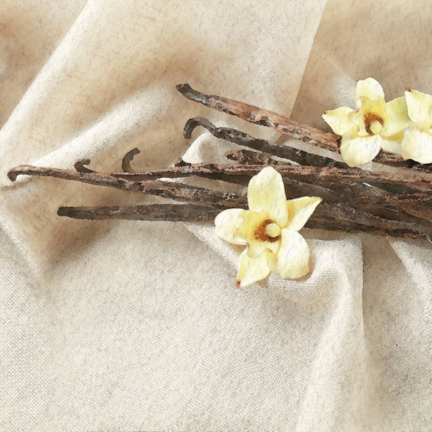 Vanilla Dream Scents