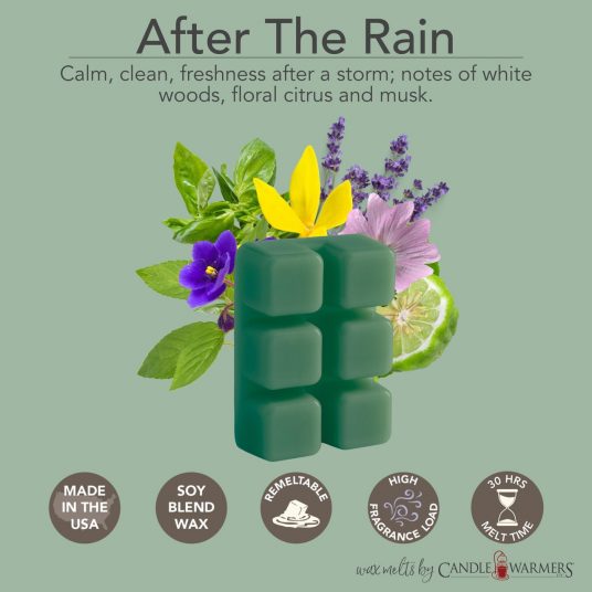 After the Rain Classic Wax Melts 2.5oz