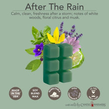 Load image into Gallery viewer, After the Rain Classic Wax Melts 2.5oz