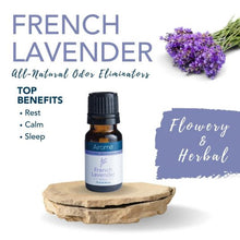 Load image into Gallery viewer, French Lavender Odor Eliminator Essential Oil