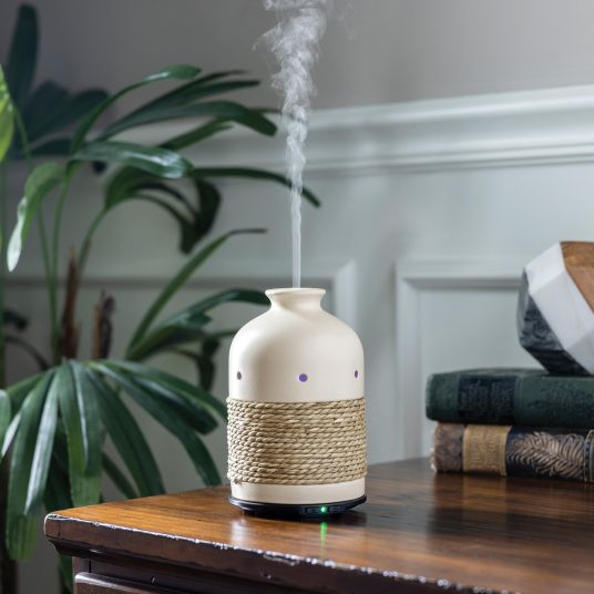 Butterfly Diffuseer Rope Reflection Glass Ultrasonic Aroma Diffuser | Candle Warmers Australia