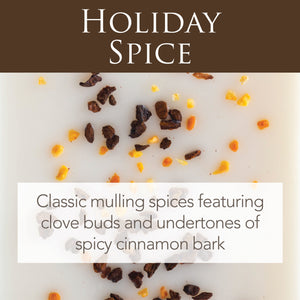 Holiday Spice 2.5 Oz Artisan Melts