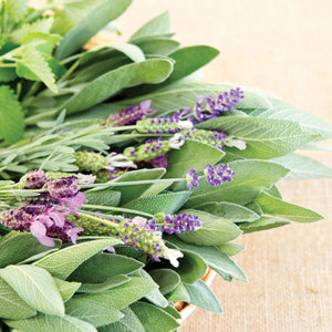 Lavender & White Sage 2.5 Oz Artisan Melts
