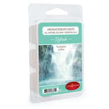 Load image into Gallery viewer, Refresh Aromatherapy Melt 2.5oz