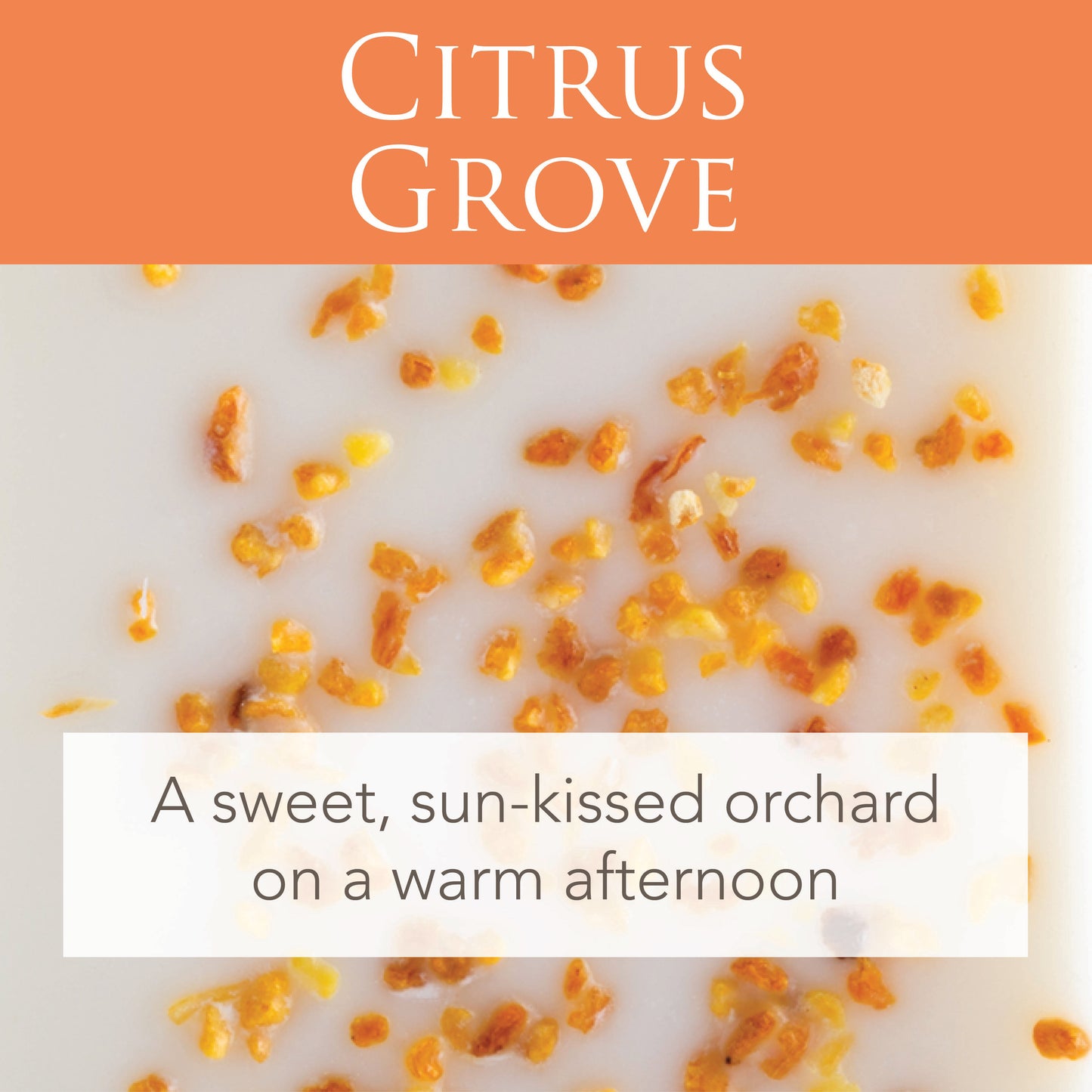 Citrus Grove 2.5 Oz Artisan Melts
