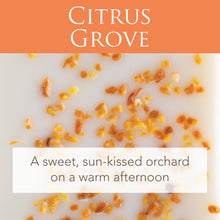 Load image into Gallery viewer, Citrus Grove 2.5 Oz Artisan Melts