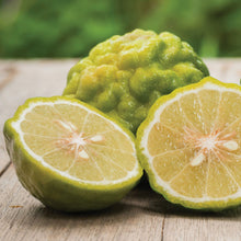 Load image into Gallery viewer, Bergamot Lime Essential Oil Blend