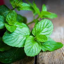 Load image into Gallery viewer, Peppermint Essential Oil