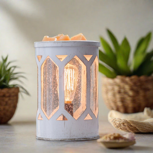 Arbor Edison Bulb Illumination Warmer - RRP $47.95 - Wholesale - OUT OF STOCK - PREORDERS OPEN - ARRIVING EARLY MARCH