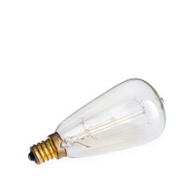 Load image into Gallery viewer, NP3 Bulb Edison - RRP $6.95 - Wholesale