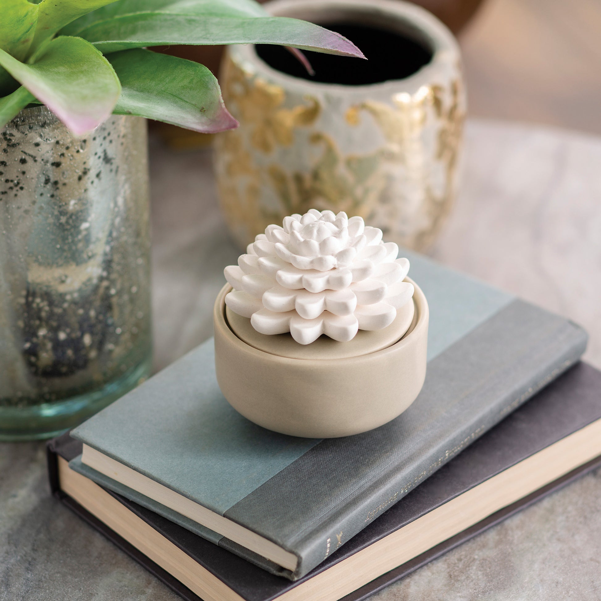 Succulent Porcelain Passive Diffuser – Candle Warmers Australia