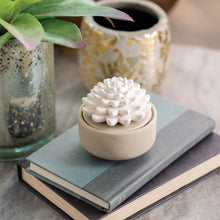 Load image into Gallery viewer, Succulent Porcelain Diffuser