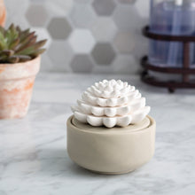 Load image into Gallery viewer, Succulent Porcelain Diffuser