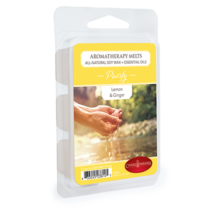 Purify Aromatherapy Melt 2.5oz