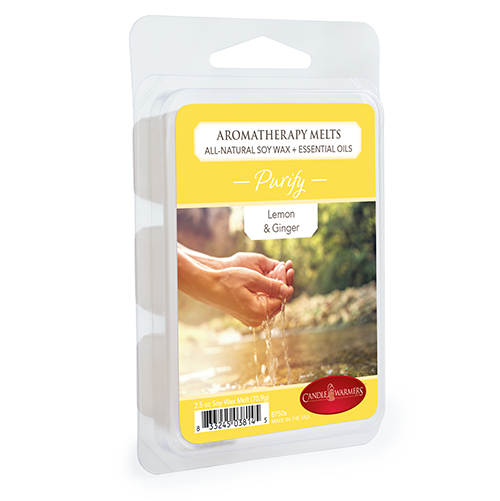 Purify Aromatherapy Melt 2.5oz