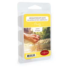 Load image into Gallery viewer, Purify Aromatherapy Melt 2.5oz