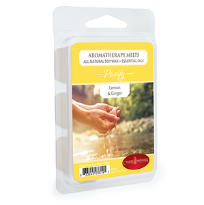 Purify Aromatherapy Melt 2.5oz