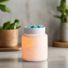 Load image into Gallery viewer, Botanical Illumination Warmer