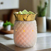 Load image into Gallery viewer, Pineapple Illumination Warmer