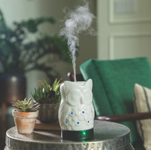 Load image into Gallery viewer, Owl Ultrasonic Aroma Diffuser