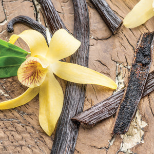 Vanilla Bean Odor Eliminating Melts 2.5oz